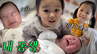 [VLOG] 동생을 너무 이뻐하는(?) 누나의 일상🥰(풀리오, 면허갱신, 첫눈)