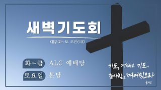 20241214 토요일 새벽