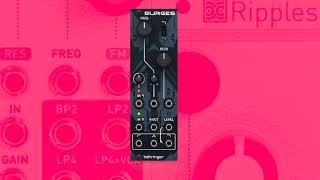 Behringer Surge - Mutable Instruments Ripples Clone For The Low