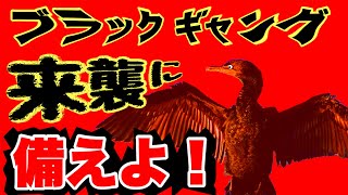 【ブラックギャング（鵜）に備えよ】昨年アユを食い尽くされた！～大洲市肱川漁協大洲支部～