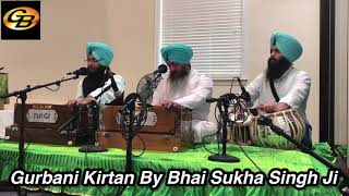 ਮੇਰੇ ਸਾਹਿਬ ਤੂੰ ਮੈ ਮਾਣੁ ਨਿਮਾਣੀ ॥ Gurbani Kirtan By Bhai Sukha Singh Ji Usa Wale