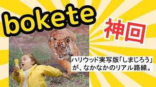 【神回】しまじろうのボケてをゆっくり見ていこう！ 第36弾  #ぼけて