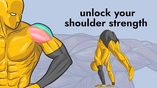 Your shoulders need these exercises