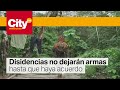 Disidencias de las FARC confían en los nuevos diálogos de paz con el Gobierno | CityTv