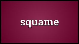 Squame Meaning