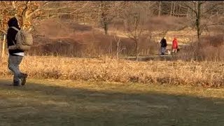 DNR considering new hunting rules in state parks