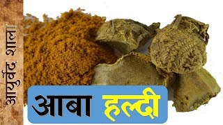 Amba haldi kay fayday or upyog | Ayurved shala