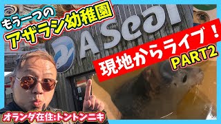 【A Seal】アザラシ幼稚園の卒園児が保護されているもう一つのアザラシ幼稚園でライブ【Tonton Train】