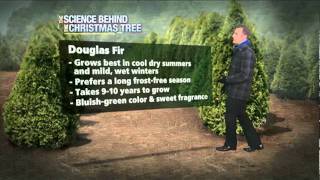 The Science Behind your Christmas Tree