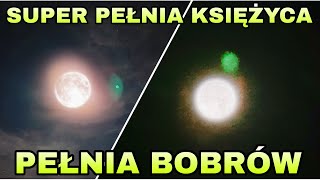 Super Pełnia Księżyca, Pełnia Bobrów