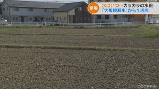 カラカラの田んぼ･･･明治用水の水が途絶え1週間　水はいつ来る？今後は地域ごとに順番に給水へ(2022/5/24)