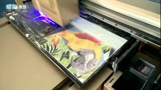 Non woven Fabric Digital UV Printer NC-UV0609