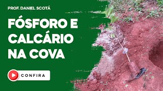 FÓSFORO E CALCÁRIO NA COVA