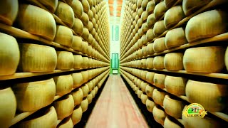 process cheese production