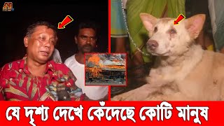 বঙ্গবাজারে পুড়ে ছাই স্বপ্ন, মালিকের সাথে কাঁদছে পোষা কুকুর। কোনভাবেই কান্না থামছেনা অবুঝ কুকুরটিরও