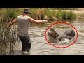 12 Times Humans Messed With The Wrong Animals (Part 2)