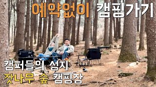 [4K] 예약이 필요없는 캠핑장 | 캠퍼들의 성지 | 잣나무 숲 | 서울근교 캠핑장 | 캠핑요리 | 캠핑브이로그