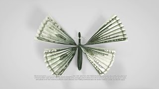 Fidelity Butterfly