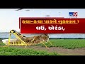 locust menace spreads to mehsana 10 villages affected tv9gujaratinews