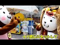 【みやざき犬】てげてげヘアメイク 20150718