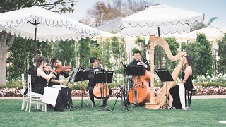 A Thousand Years, Best Wedding Song | Chamber Orchestra Version