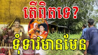 ទុំទាវមានពិតទេ? ដើមពោធិ៍ផ្ទះទាវតាមការតំណាលរបស់អ្នកស្រុក