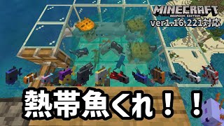 【ウーパールーパーの繁殖用エサ】簡単『熱帯魚トラップ』で、生きた熱帯魚が大漁じゃ！！【マイクラ統合版】【ゆっくり実況】