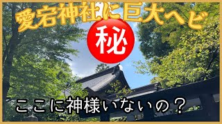 【愛宕神社】巨大なヘビ現る！この神社には神様いないって本当？？