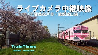 【ライブカメラ】生中継／千葉県松戸市新坂川桜並木／2021年3月3日【桜並木・流鉄流山線リアルタイム配信】