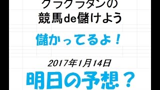 グラグラタンの競馬de儲けよう　１月１４日（土）分