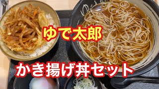 【ゆで太郎】かき揚げ丼セット【孤独のグルメ】【全国エール飯】【ただ食べるだけ】