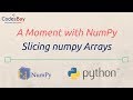 Slicing NumPy Arrays : A Moment with NumPy