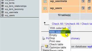 How to Restore Your WordPress Database Using phpMyAdmin