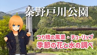 アバターさんぽVLOG/神奈川県/秦野戸川公園/April-2023