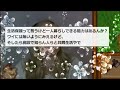 【2ch面白いスレ】32歳ニート、深夜に「親が死んだらどうしよう」と不安になり、母親に泣きつく【ゆっくり解説】【バカ】【悲報】