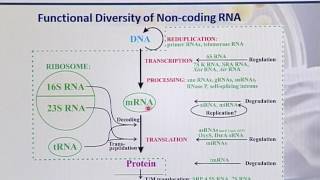 BIO502 Topic183