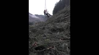 Oregon logging