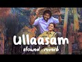 ullaasam slowed and reverb saripodhaa sanivaaram 2024 nani priyanka mohan nani