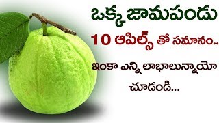 జామపండు ఆరోగ్య రహస్యాలు.. Ultimate Health Benefits Of Guava