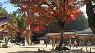 かまど神社（竈門神社）・紅葉風景2016・・・ Kamado Shrine