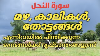 മഴ കാലികള്‍ തോട്ടങ്ങള്‍ | Quran Malayalam | Malayalam Quran | Heart Touching Quran | Rays of Quran