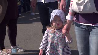 61st Annual Swallows Parade