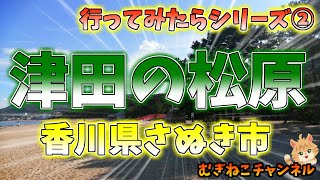 【行ってみたらシリーズ②】津田の松原（香川県さぬき市）