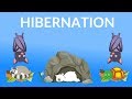 Hibernation of Animals | Why do Animals Hibernate | Hibernating Animals for kids