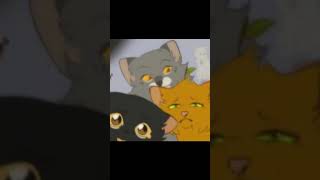 RavenPaw FirePaw and Graypaw edit