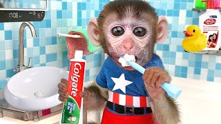 Monkey Baby Ton Ton brushes his teeth and goes shopping for Rainbow M\u0026M | Ton Ton Animal