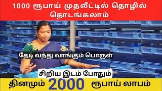 🔴தினமும் ரூ.2000/- வருமானம் 💥 முதலீடு ரூ.1000/-🔥 Best High Profit Small Business ideas in Tamil 2023