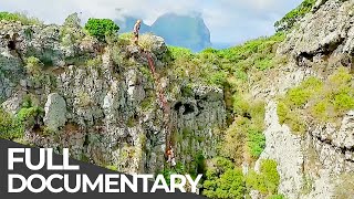 Amazing Quest: Stories from East Coast Australia | Somewhere on Earth: Australia | Free Documentary