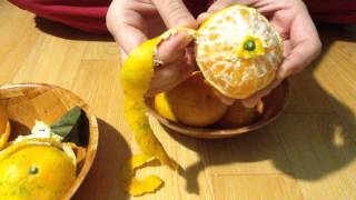 Korean Asmr: How to peel an orange(한국어 ASMR : 귤 까는 방법)