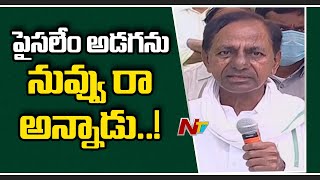 CM KCR Funny Satires Over Narsapur MLA Comments | Haritha Haram | NTV